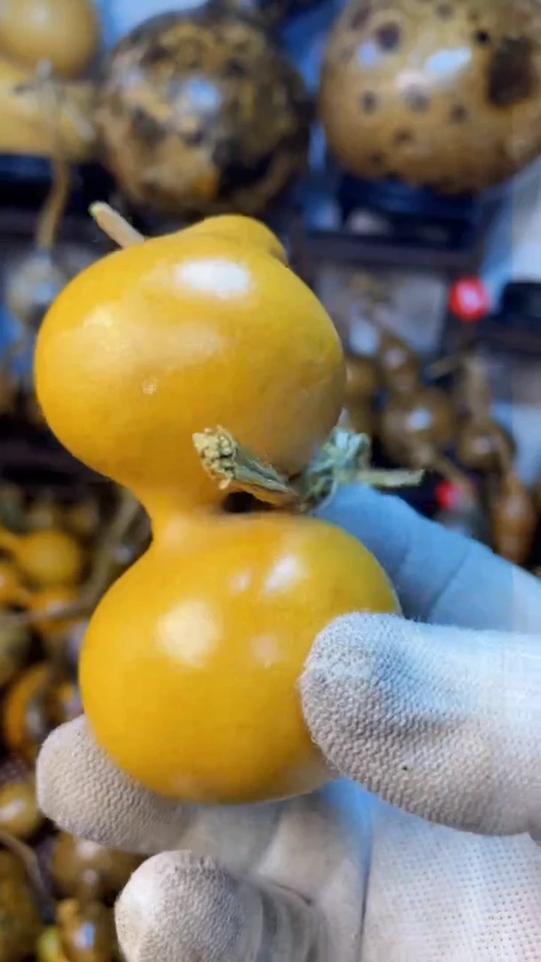 【闪购商品】葫芦葫芦葫芦葫芦葫芦