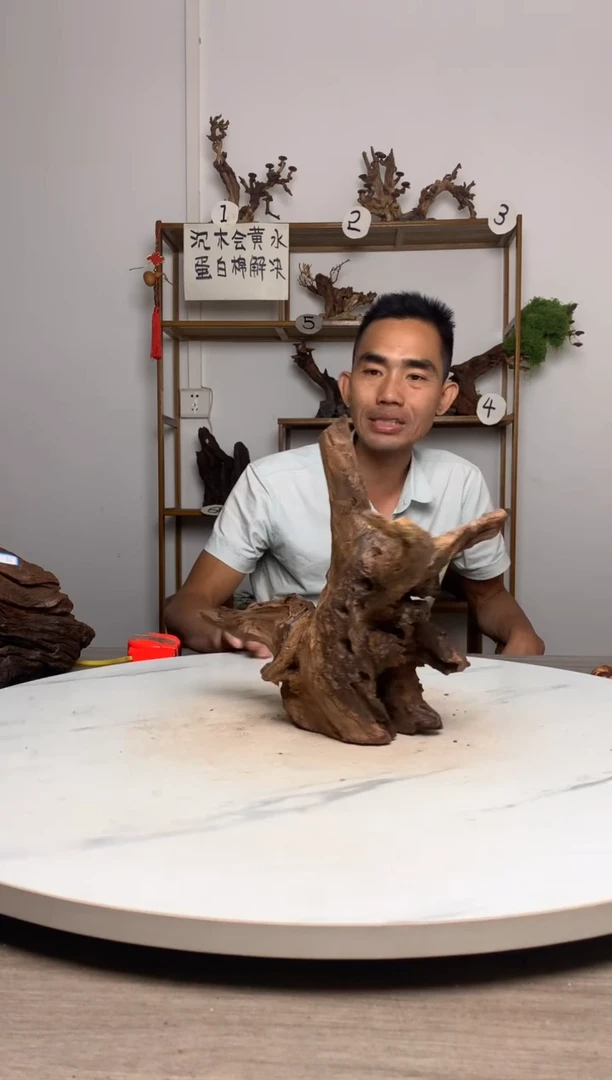 水****兄鱼缸造景沉木摆件