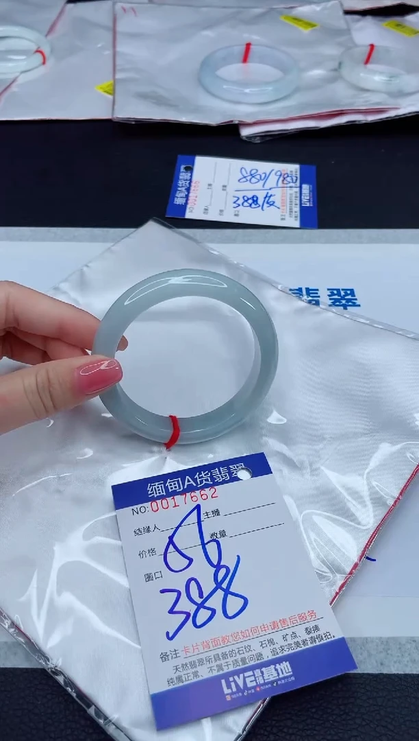 未镶嵌手镯翡翠2
