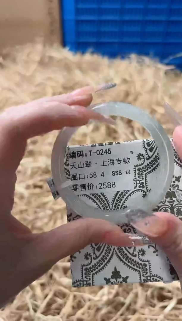 未镶嵌手镯石英质玉T-0245