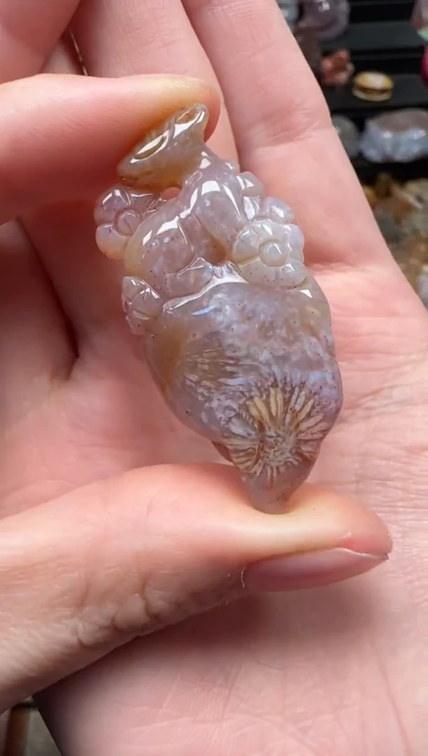 颈饰未镶嵌硅化珊瑚（珊瑚玉）822