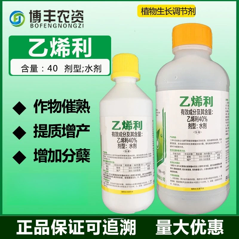 中棉小康40%乙烯利催熟催红剂西红柿棉花香蕉核桃催熟调节剂农药