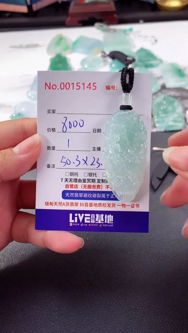 颈饰未镶嵌翡翠龙牌