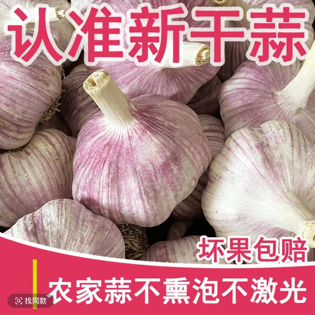 【特大果】金乡大蒜2024新干蒜紫白皮可吃可种5斤3斤