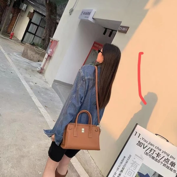 【初阳甄选】SLBL-9095-棕色轻奢潮流经典小众女包