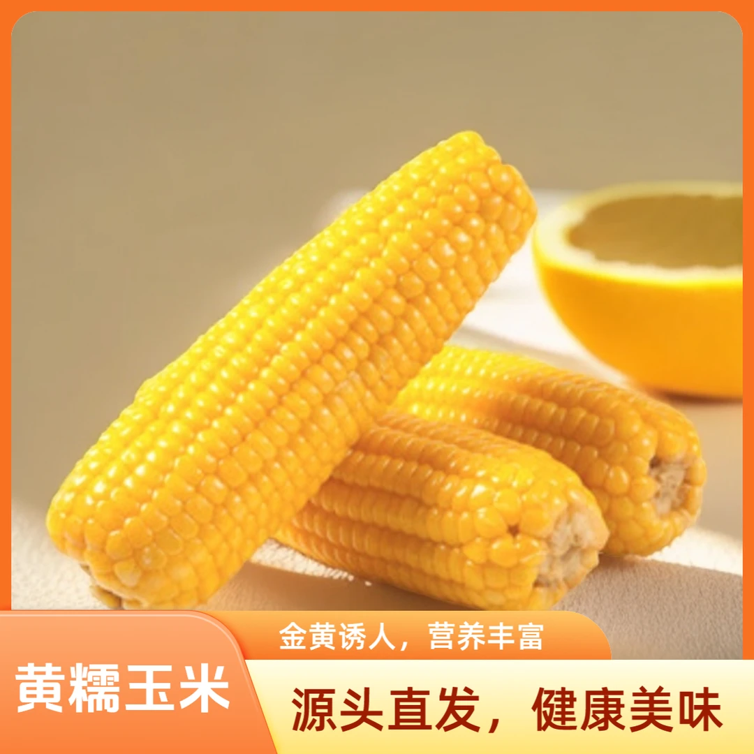 【10根可试吃2根】2025头茬黄糯正宗头茬玉米口感软糯香甜5斤以上Z