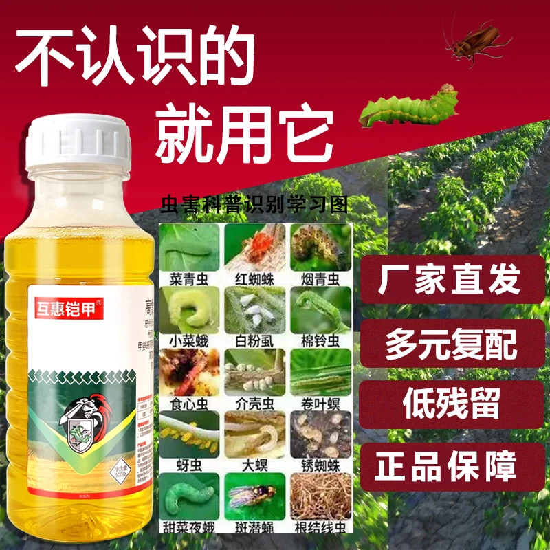 正品高氯甲维盐蚜虫复配杀虫剂农用甜菜叶蛾菜青虫蔬菜果树杀虫药