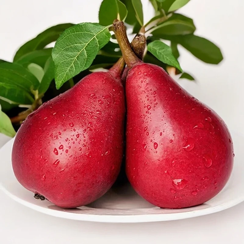 陕西当季新鲜红啤梨红皮梨太婆梨放软吃甜蜜爆汁