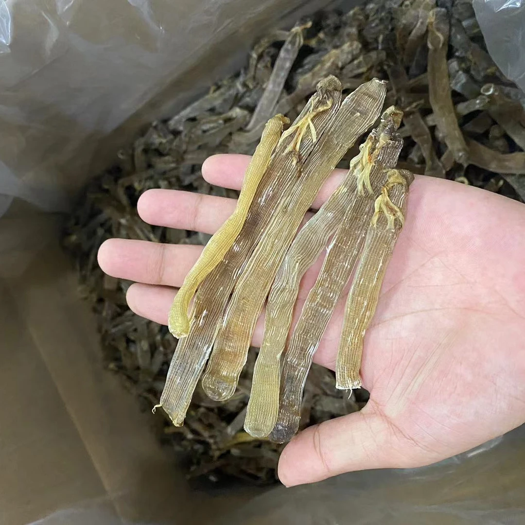 【前记精选】大沙虫 足干去沙袋无沙海产干货 煲汤煲粥鲜甜味美食用