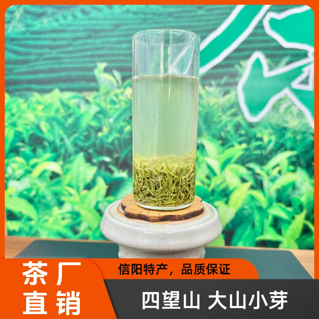 【四望山小芽】特级精选优质嫩芽 浓香型半手工雨前信阳毛尖绿茶