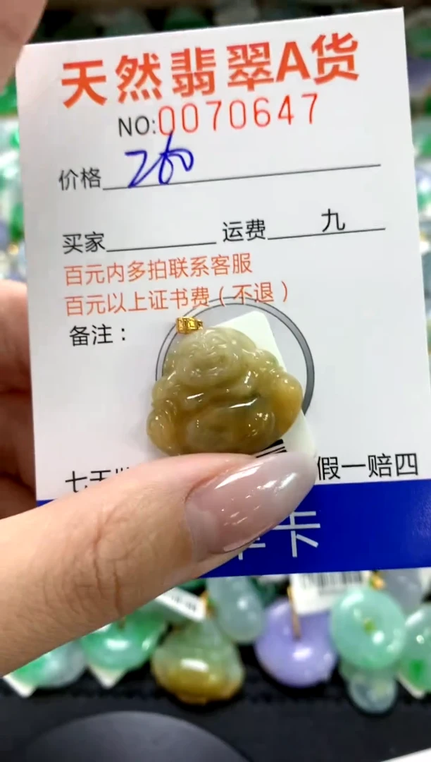 翡翠18K金镶嵌颈饰1111111111111111