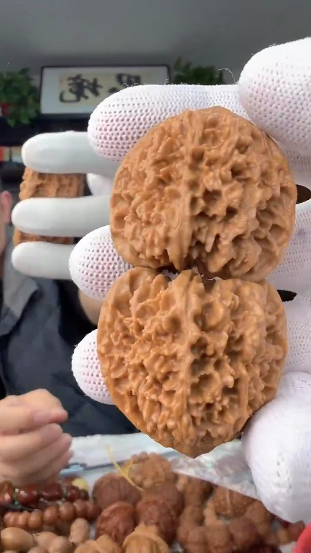 把件龙脊菩提满天星