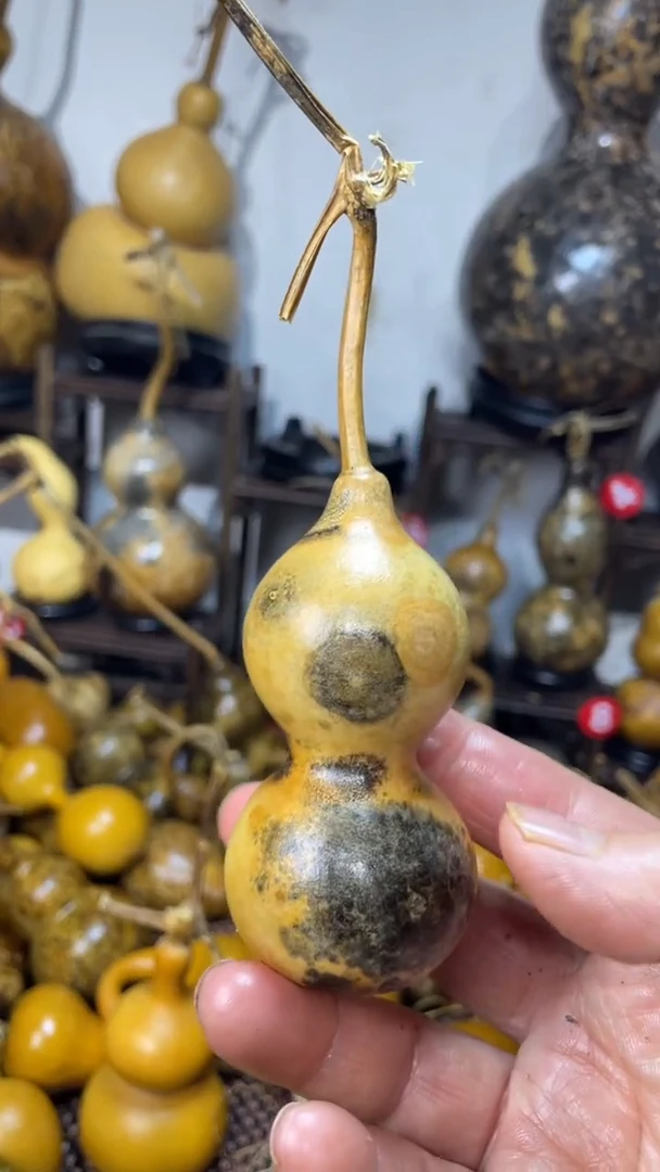 【闪购商品】葫芦好葫芦葫芦葫芦葫芦