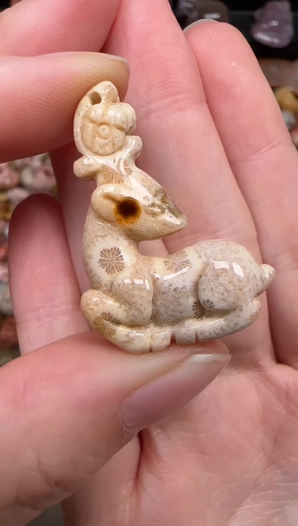 硅化珊瑚（珊瑚玉）未镶嵌颈饰705