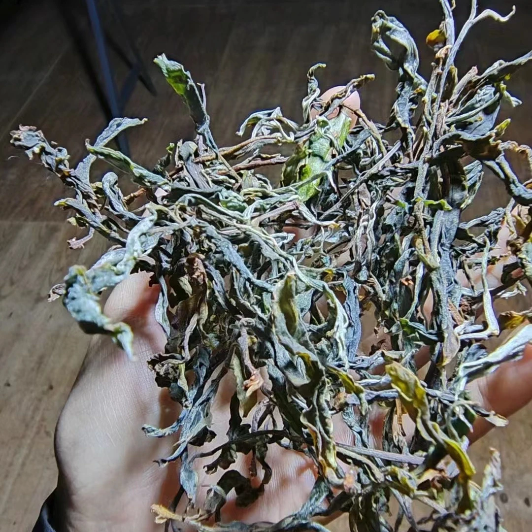 2025年正气塘古树 散茶100g 春茶 云南普洱茶