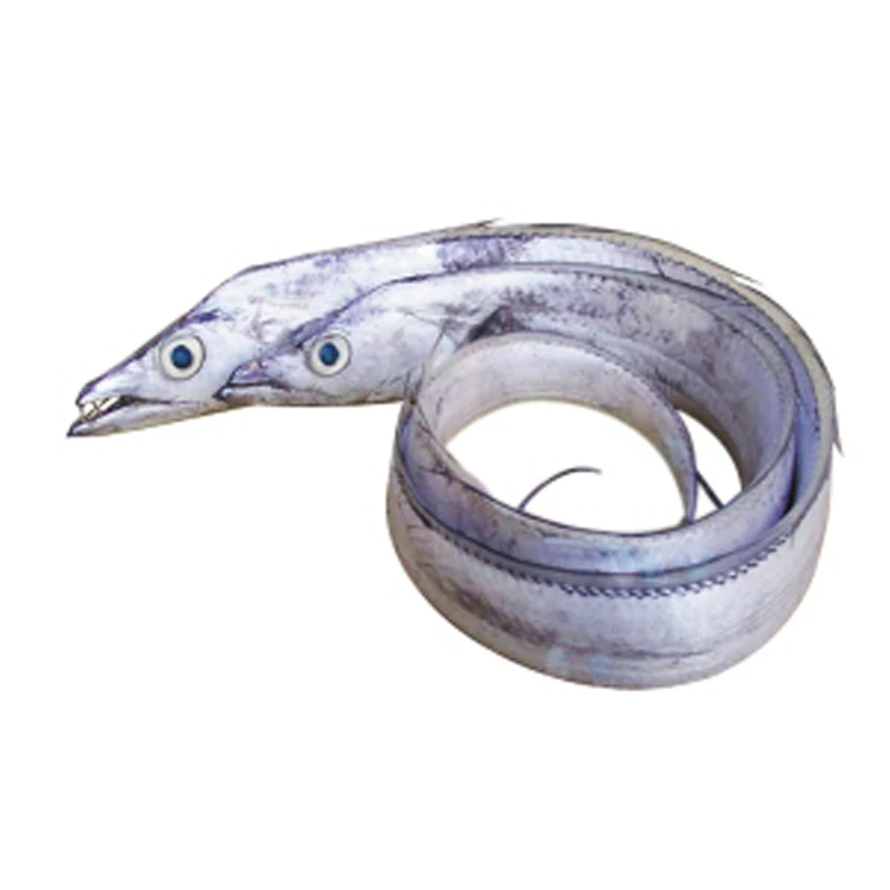 冷冻 大带鱼约 600g±50g/份