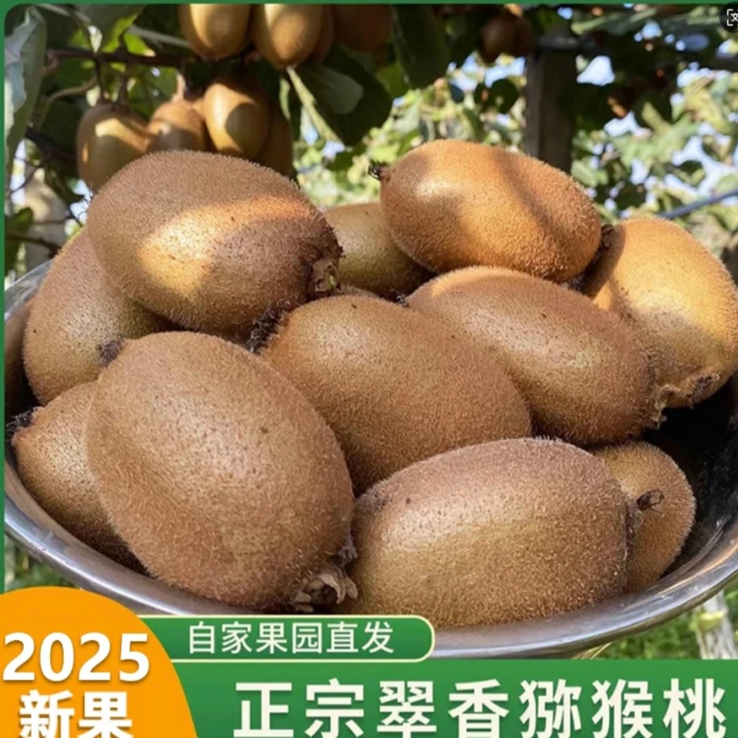 陕西翠香猕猴桃周至猕猴桃2025新果绿心猕猴桃产地直发