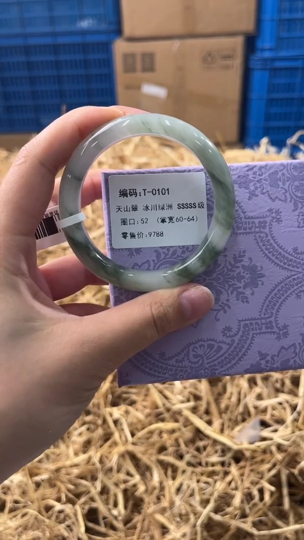 未镶嵌手镯石英质玉T-0101