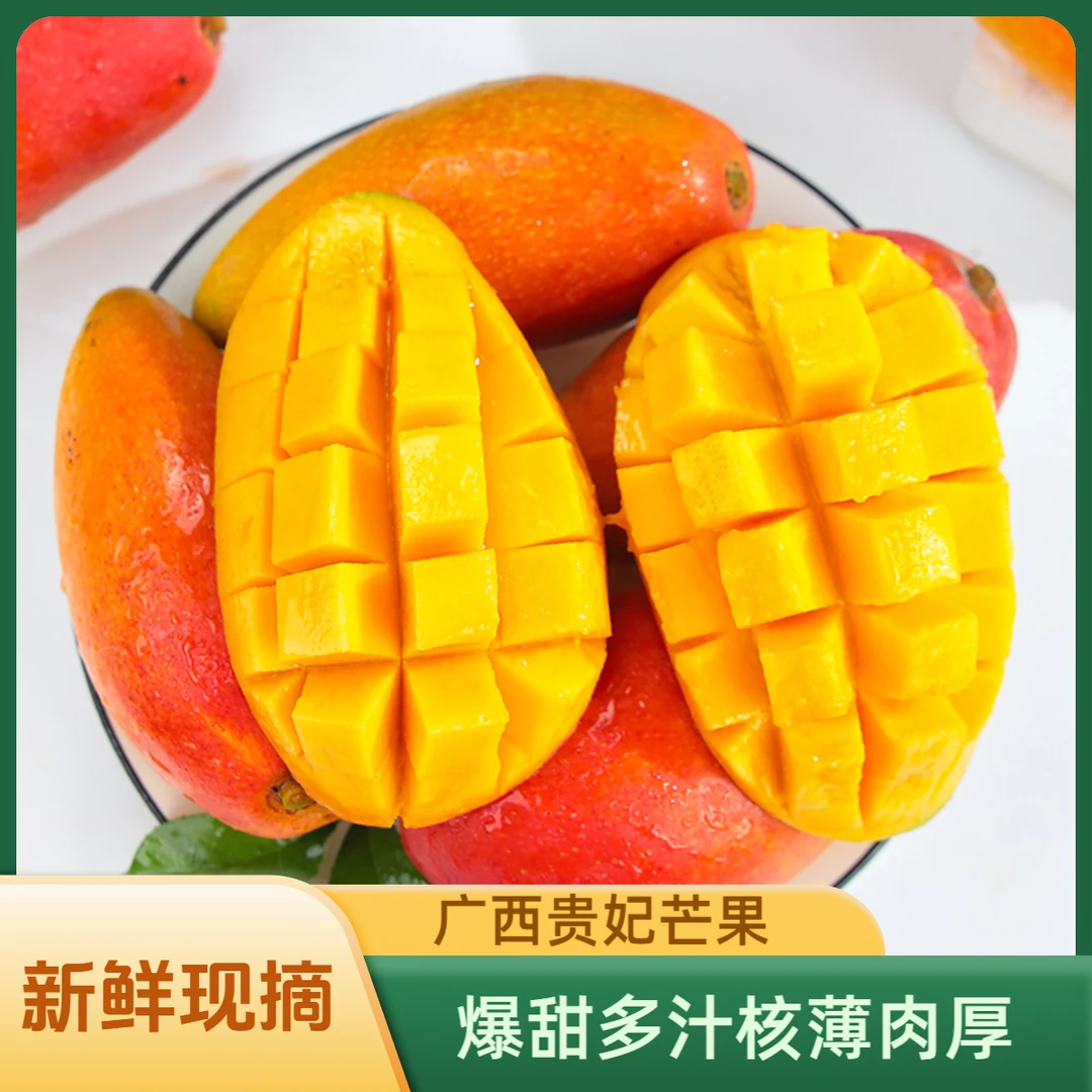 广西贵妃芒果当季新鲜水果红金龙芒5斤整箱大果新鲜现摘 放熟吃H