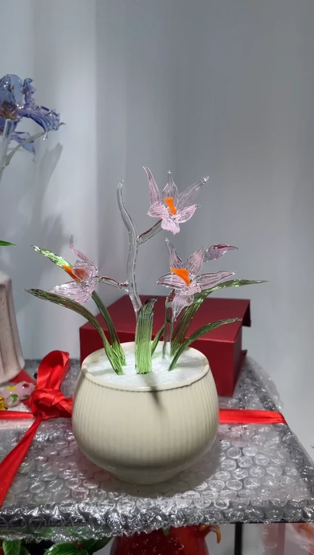 琉璃48兰花