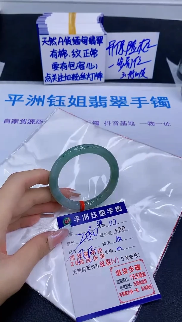 未镶嵌手镯翡翠11111