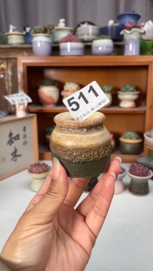 瓷片511小芳直播编号