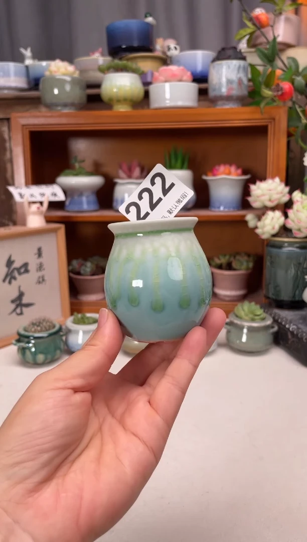 瓷片222知木小芳花盆