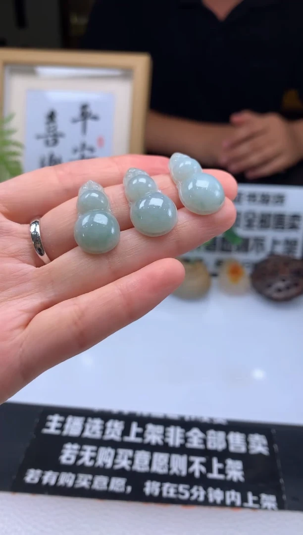 翡翠未镶嵌颈饰---20664多样性发其一