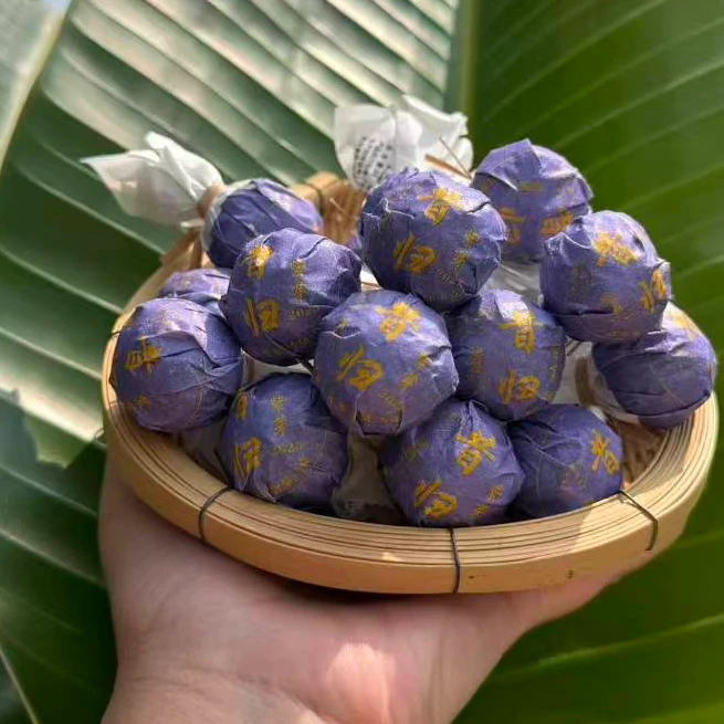 【25年昔归忙麓山】 古树挑采紫芽龙珠