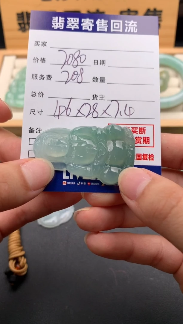 翡翠未镶嵌颈饰10141729