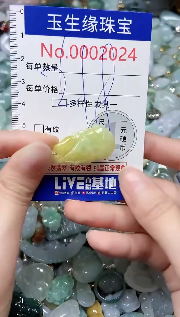 【闪购商品】翡翠颈饰未镶嵌闪购00002024