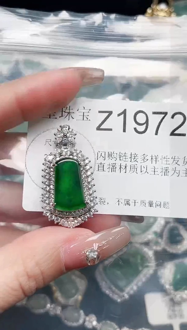 【闪购商品】翡翠颈饰未镶嵌赠皮绳1972