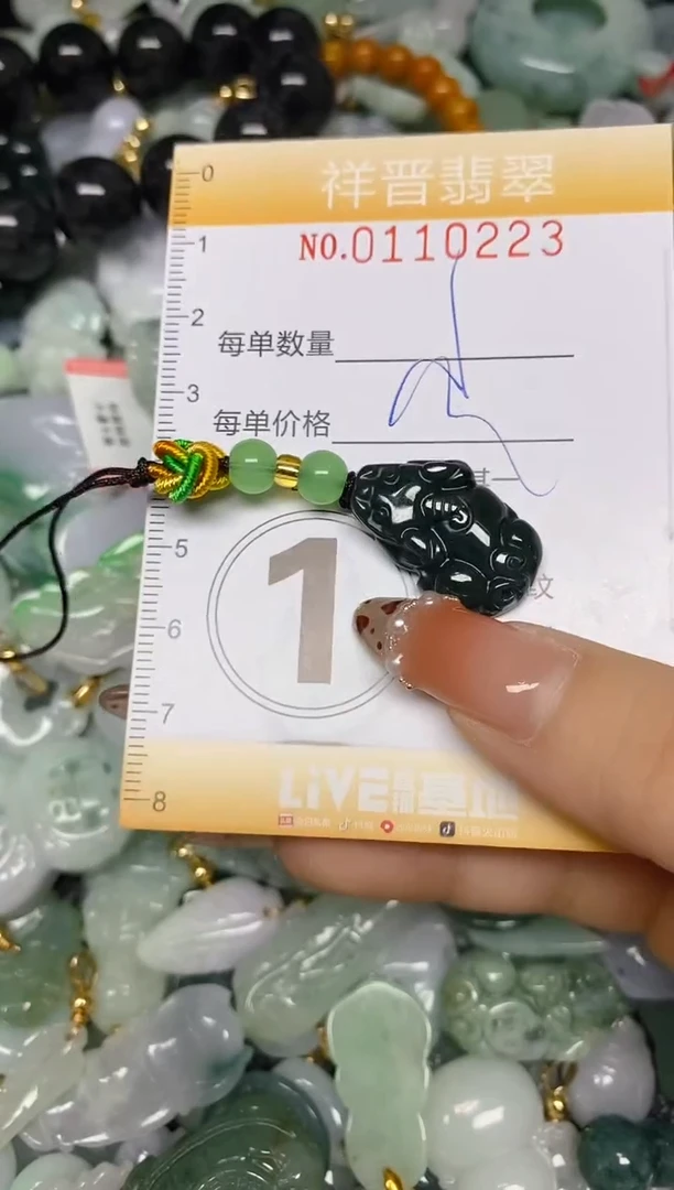 【闪购商品】翡翠颈饰未镶嵌闪购0110223多样性发其一
