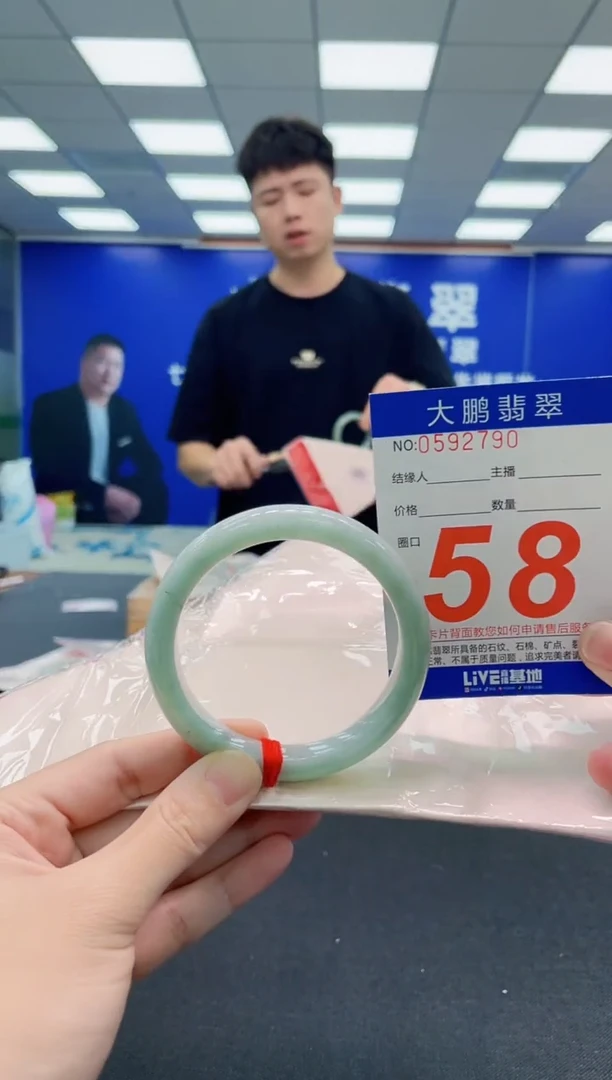 未镶嵌手镯翡翠AAAAAAAAA