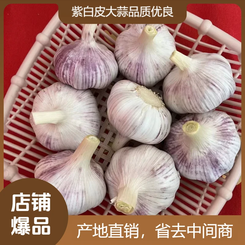 干蒜大蒜头干蒜蒜头紫白皮大蒜产地直销饱满大蒜干蒜