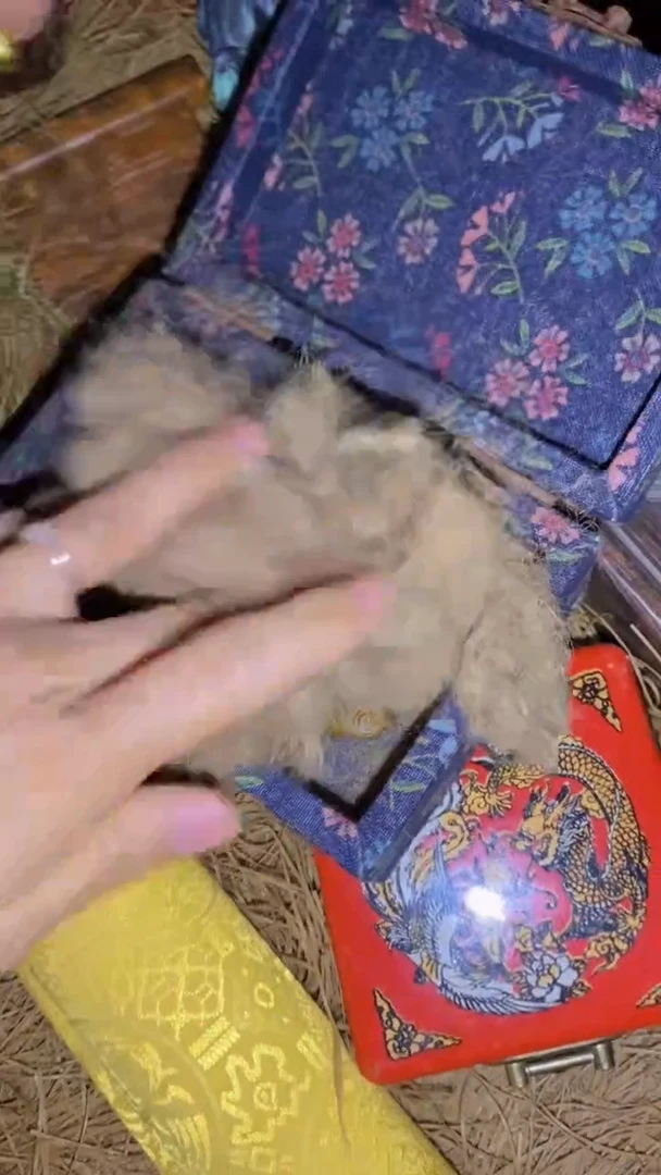 木福利一一一优选