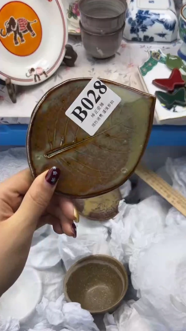 瓷片          B028