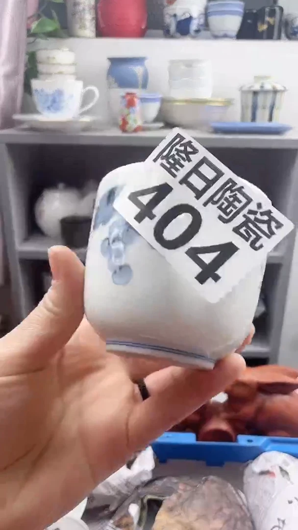 【闪购商品】瓷片404longritaoci