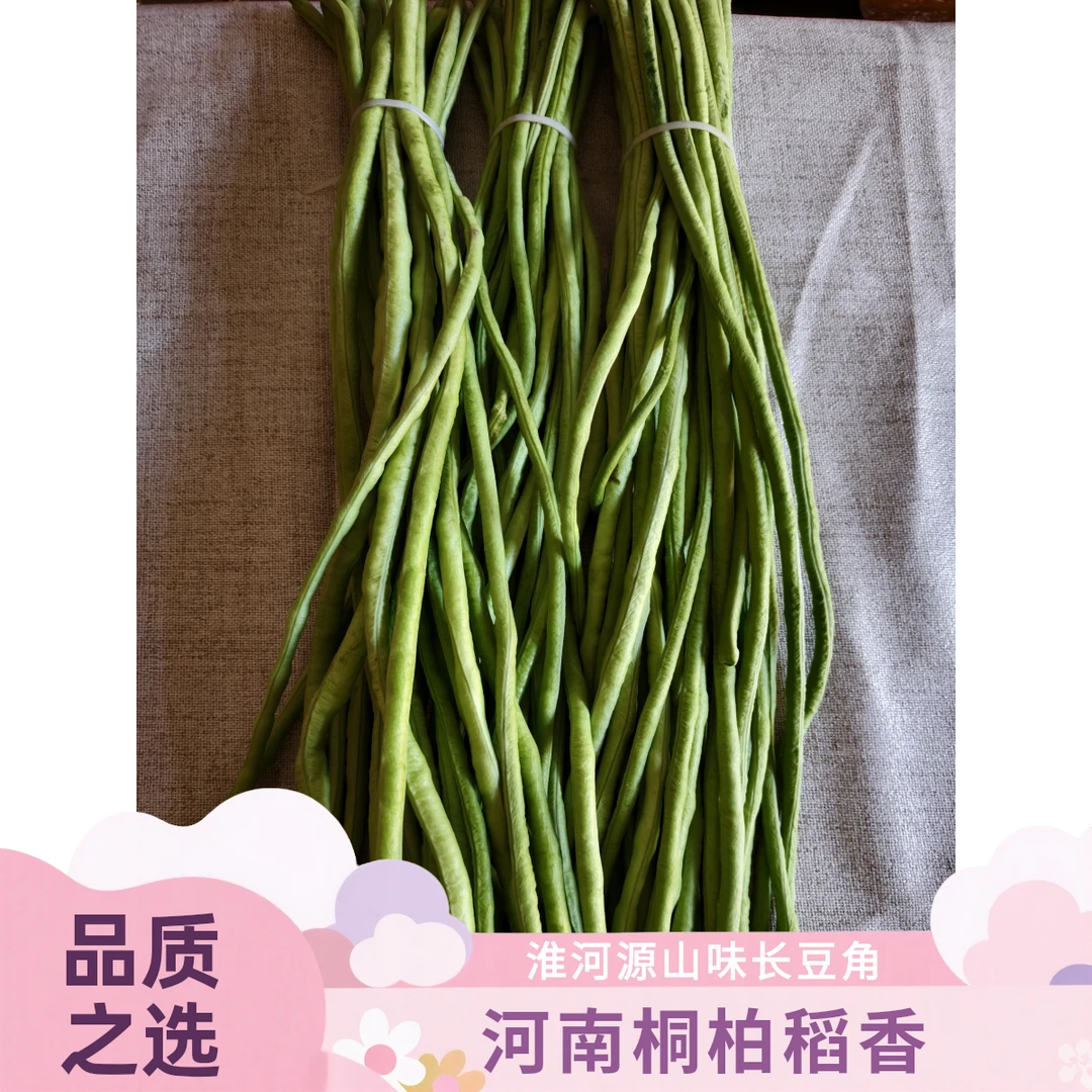 河南桐柏稻香农家露天种植长豆角，买4斤送1斤，2斤起包邮