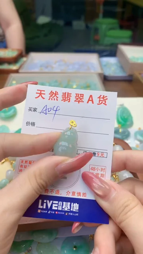 颈饰未镶嵌翡翠天然A货翡翠挂件