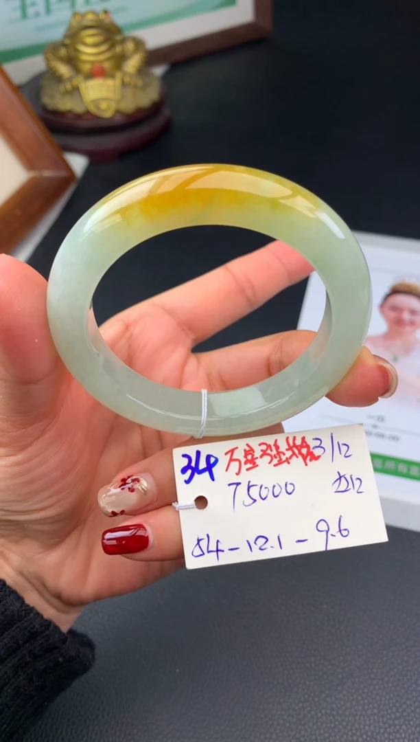 未镶嵌手镯翡翠假一赔三   手镯