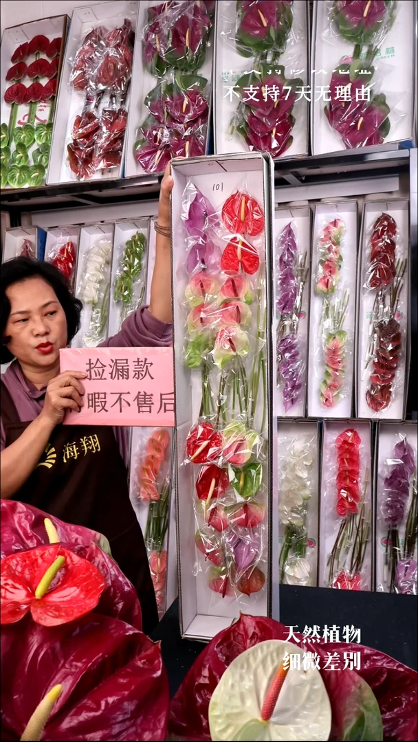 完全开放混色20支无售后款101