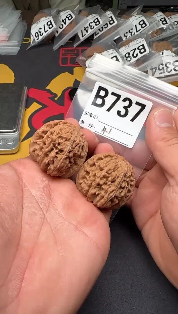 吊坠文玩核桃41秦皇楼修B737