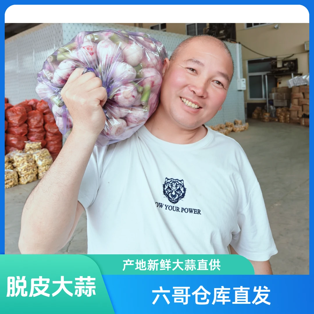 【六哥仓库直发】新鲜紫皮大蒜头可做糖醋蒜厨房必备多种食用方式