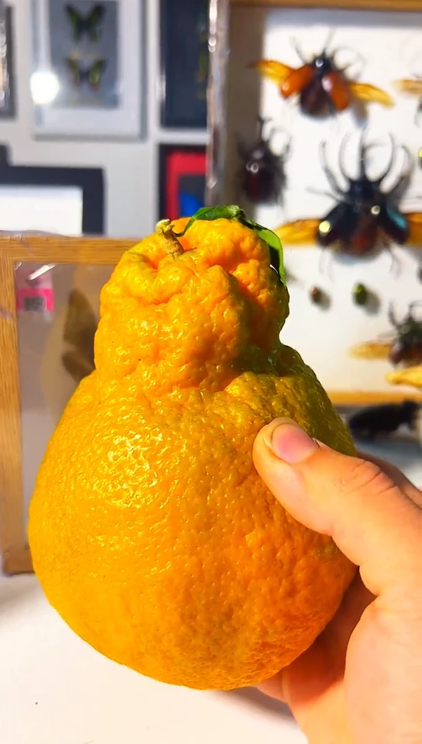 有机玻璃6765765765