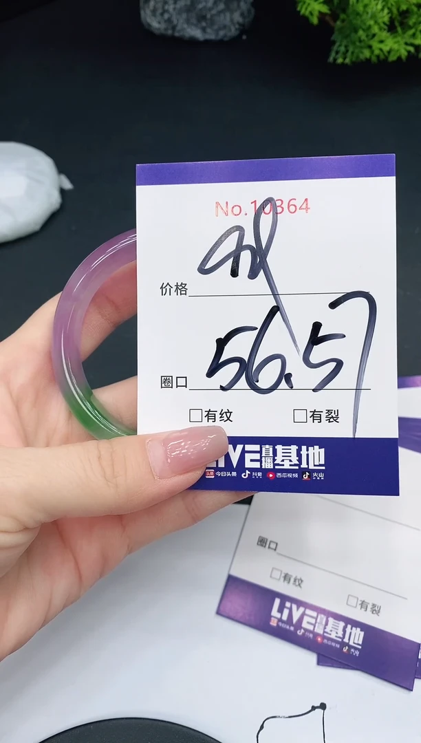 未镶嵌手镯翡翠10364