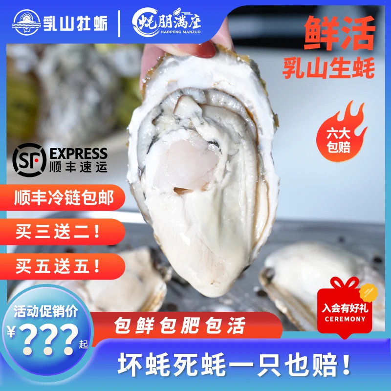 【商城买3送2买5送5】蚝朋满座乳山生蚝海鲜特大生蚝鲜活顺丰5-10斤
