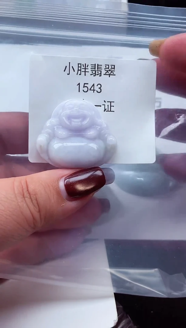 颈饰未镶嵌翡翠缅甸天然A货翡翠1543