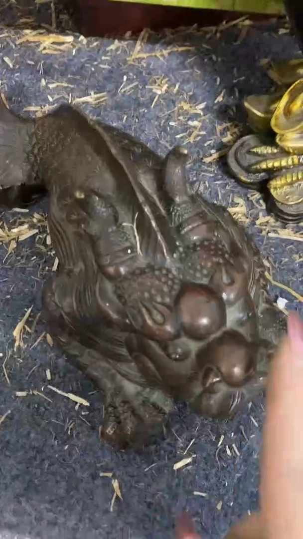 【闪购商品】刺绣主播推荐主播推荐