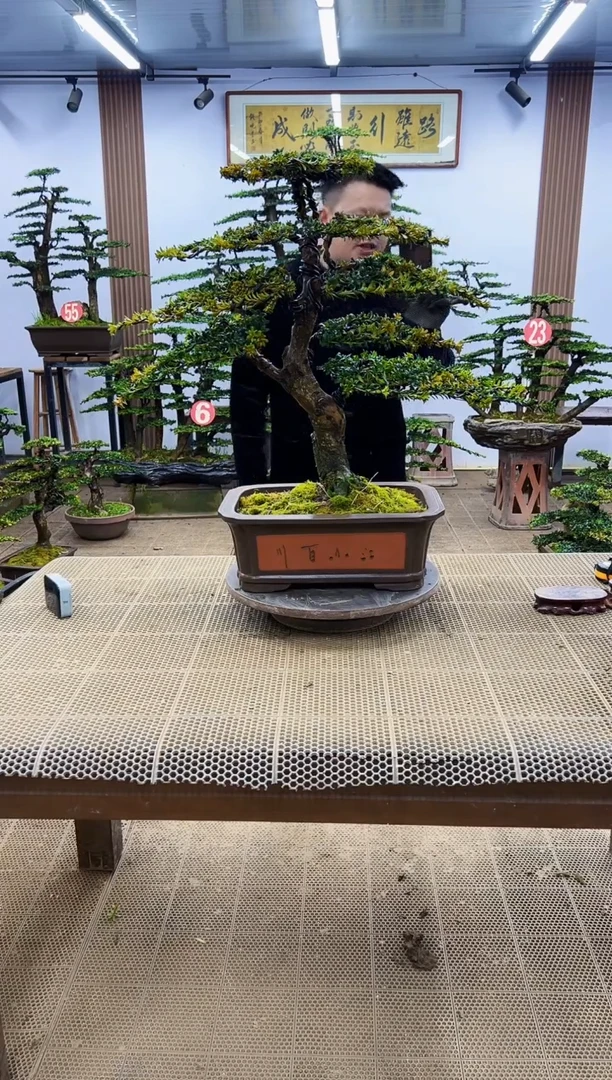【闪购商品】00000000